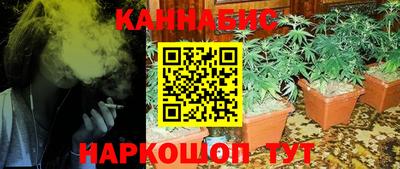 гидропоника Брянск
