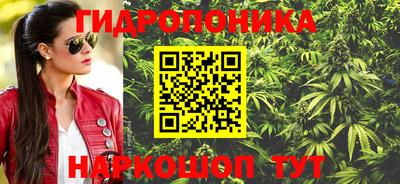 гидропоника Брянск