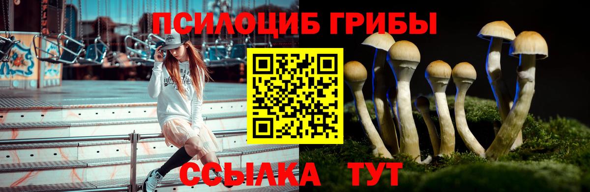 Ржев  Галлюциногенные грибы Magic Shrooms  Вход с VPN 