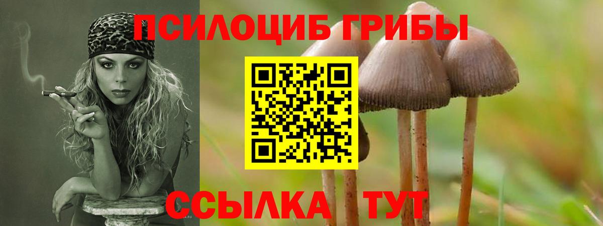 Псилоцибиновые грибы прущие грибы Ржев